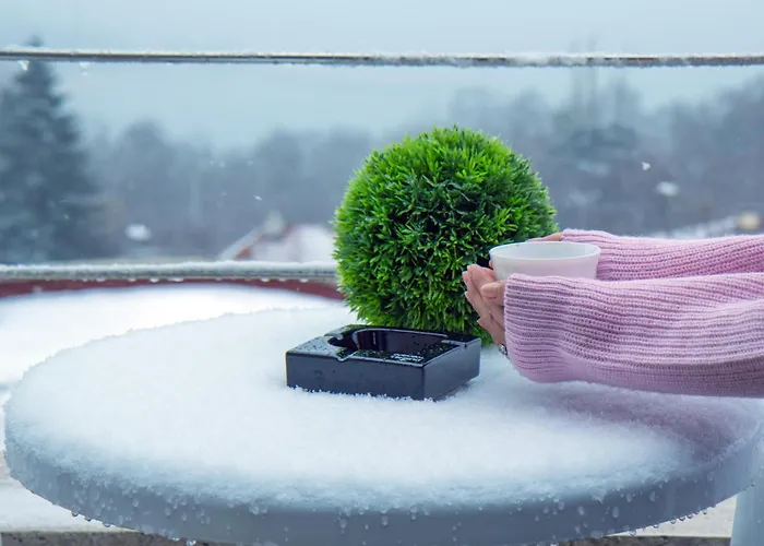 Black Sea Narcissus - Quiet With Amazing Sea View *